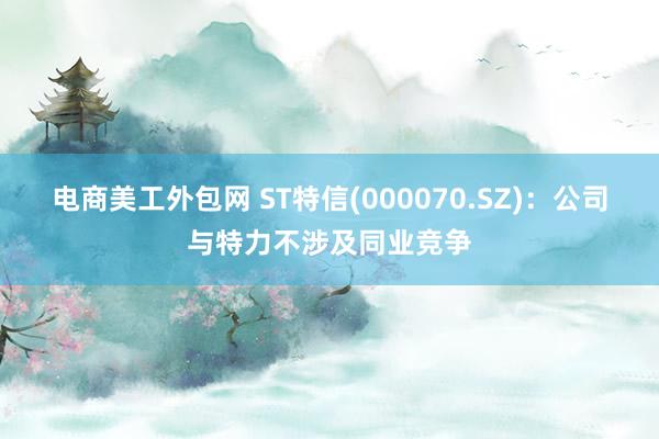 电商美工外包网 ST特信(000070.SZ)：公司与特力不涉及同业竞争