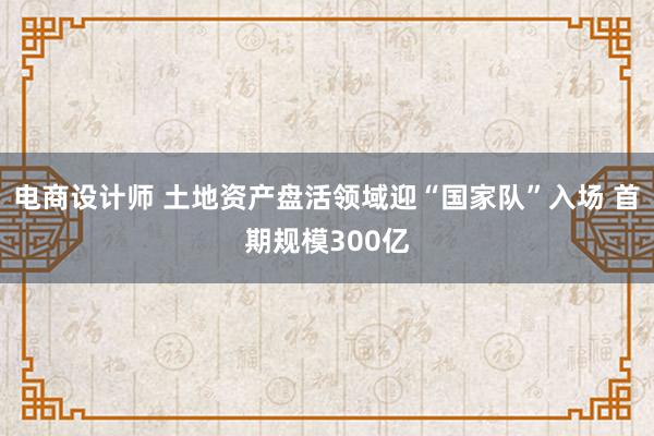 电商设计师 土地资产盘活领域迎“国家队”入场 首期规模300亿